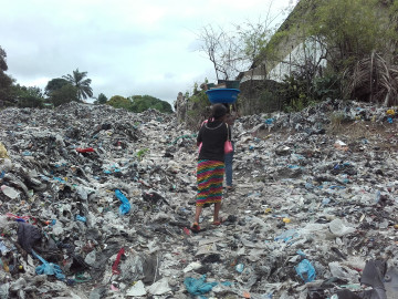 Solid waste collection in Kinshasa - 1
