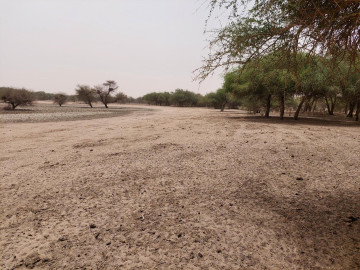Integrated Water Resource Management Plan by Antea Group