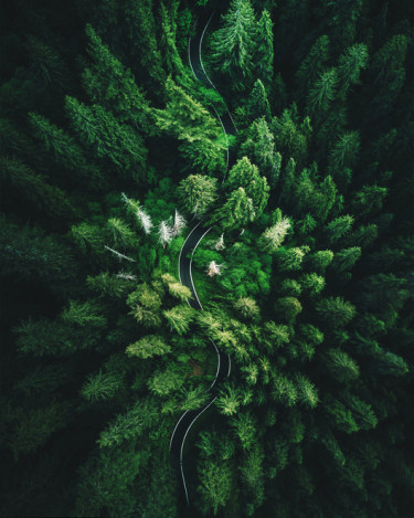A Global Hub for Environmental and Social Impact Business Solutions
