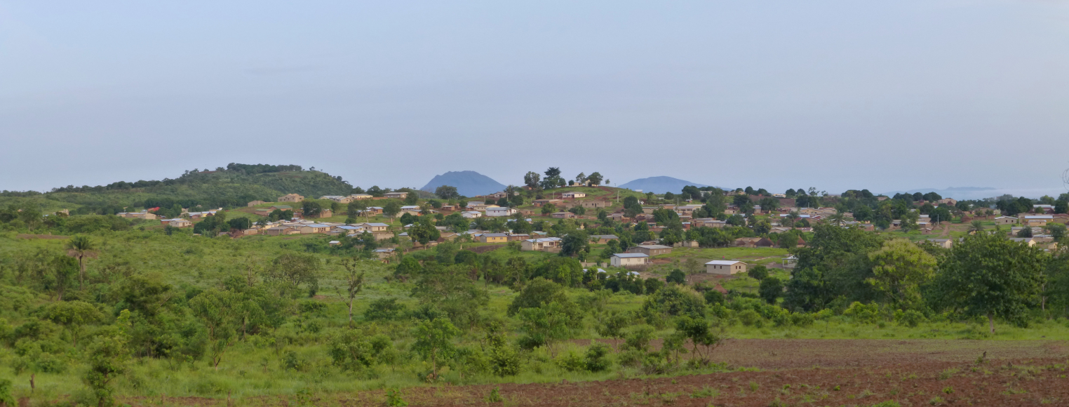 Electric Interconnection Line between Guinea and Mali