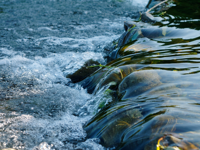 Water Stewardship