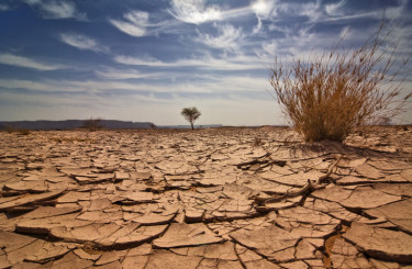 Your partner in the collective journey to combat climate change and protect our environment