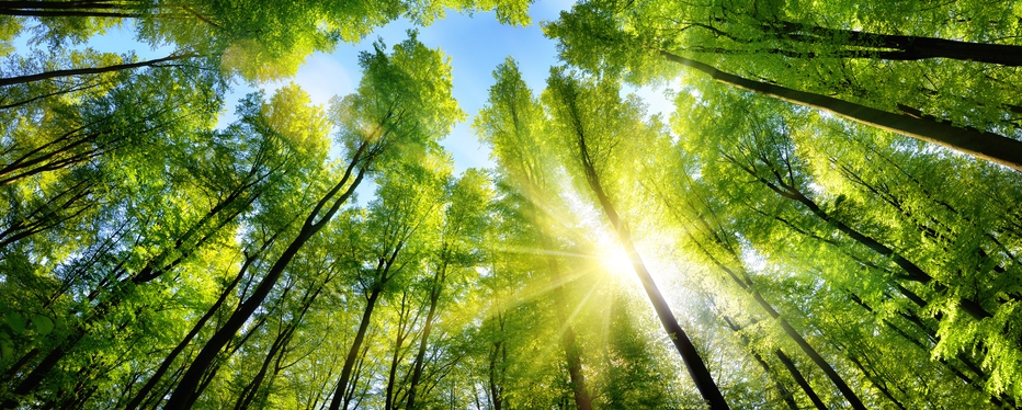 Oranjewoud N.V. announces its intention to acquire Groupe IRH Environnement 