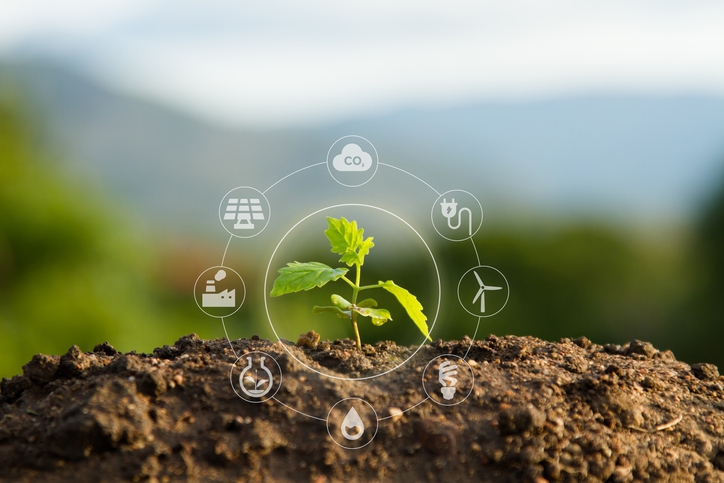  ESG Sustainability Consulting Services