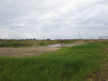 Port Autonome de Pointe Noire Brazzaville Congo -3