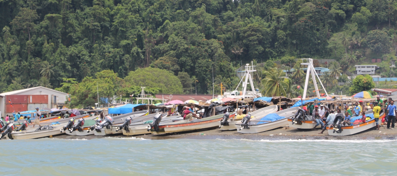 Flood Early Warning in Papua New Guinea​ (PNG)