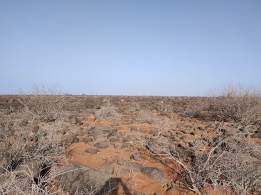 Feasibility studies carried out by Antea Group