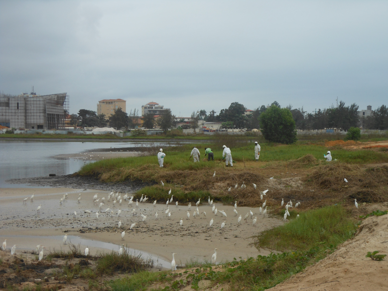 Environmental Rehabilitation of the Port of Pointe-Noire, Republic of Congo 