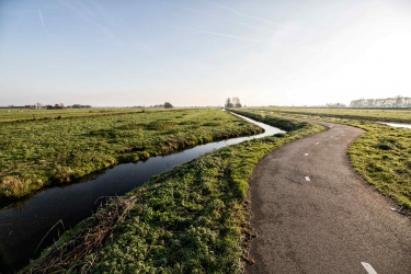 The smartest route to the right road design