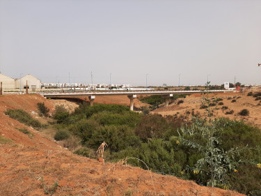 Environmental, social, and population resettlement technical assistance for the development of the 