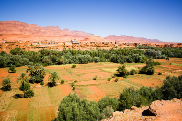 Environmental, social, and population resettlement technical assistance for the development of the 