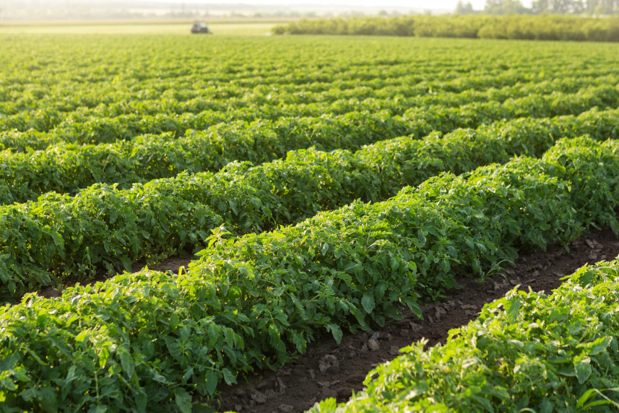 Water stewardship opportunities in a climate changing scenario - Brazil
