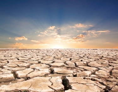 Maximizing value retention while minimizing value destruction