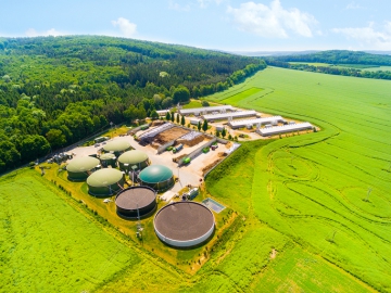 Biomass Energy