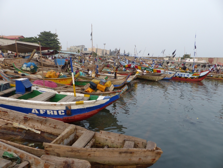 ESIA - Environmental and Social Impact Assessments
