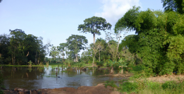 Electric Interconnection Line between Guinea and Mali 2