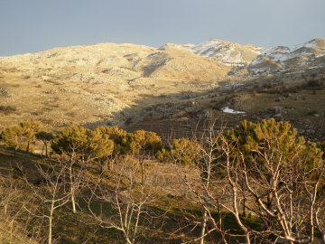 Integrated Water Resource Management - Mount Lebanon
