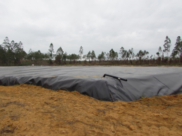 Port Autonome de Pointe Noire Brazzaville Congo -4