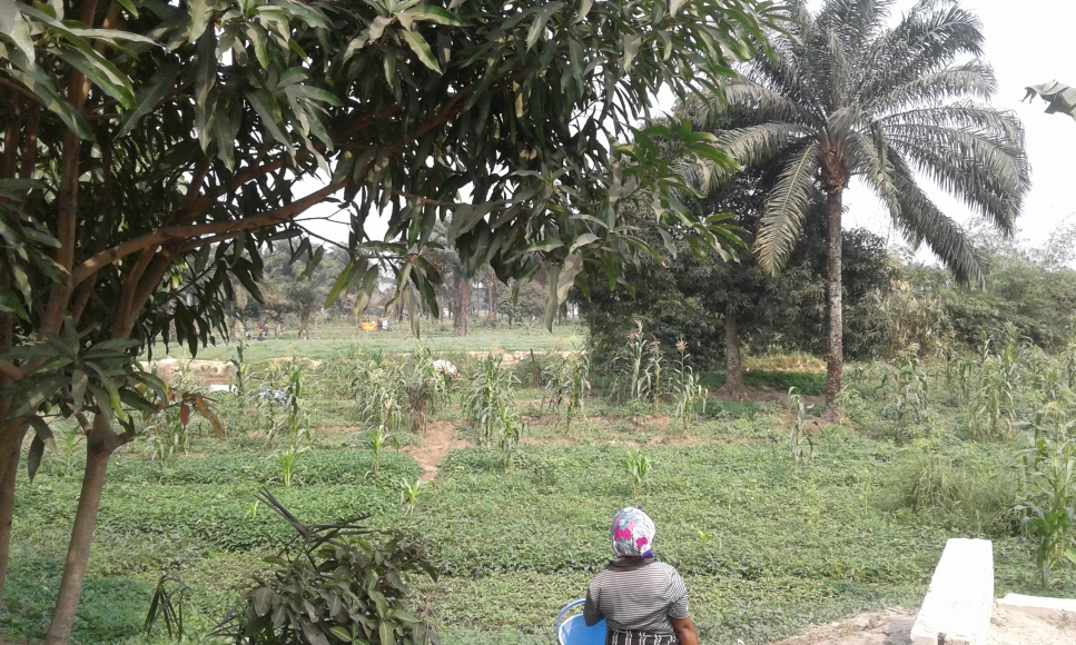 Urban development and resilience in Kinshasa, Democratic Republic of the Congo
