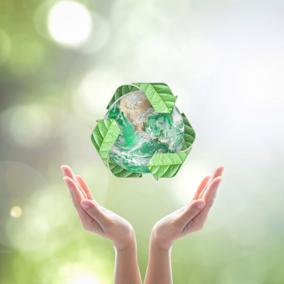 Solid waste management consulting