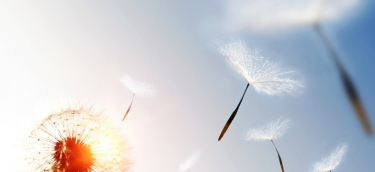 Regulatory Checks of Atmospheric Emissions