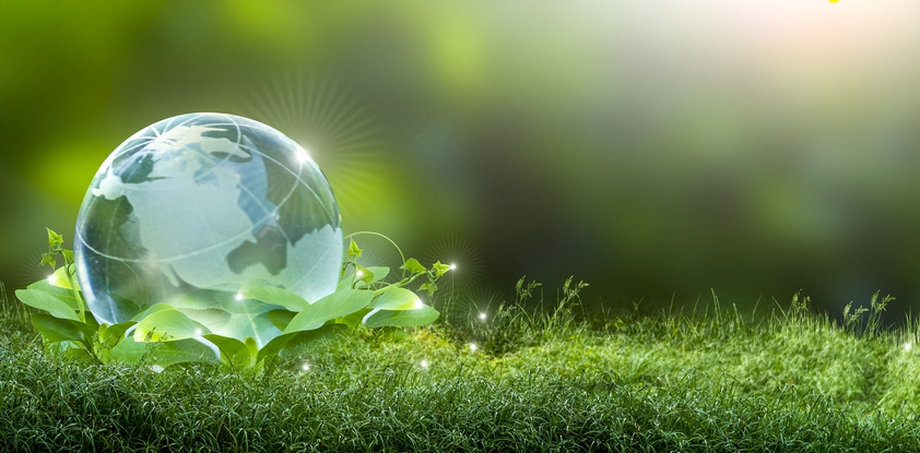 Multidisciplinary Solutions