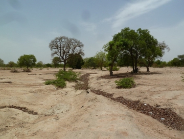 Environmental and social assessment, and related studies