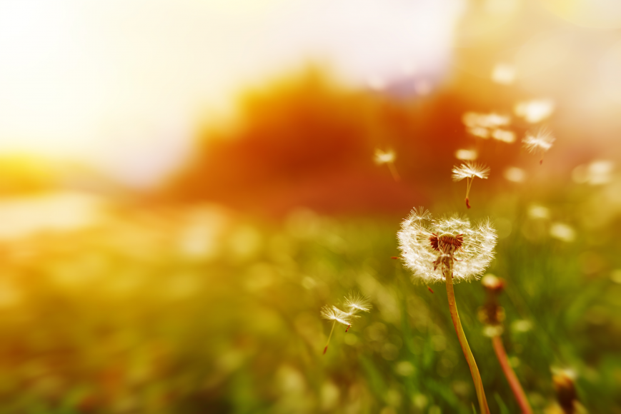 Supporting your air pollution compliance.