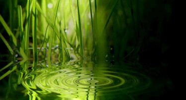 A Global Hub for Environmental and Social Impact Business Solutions